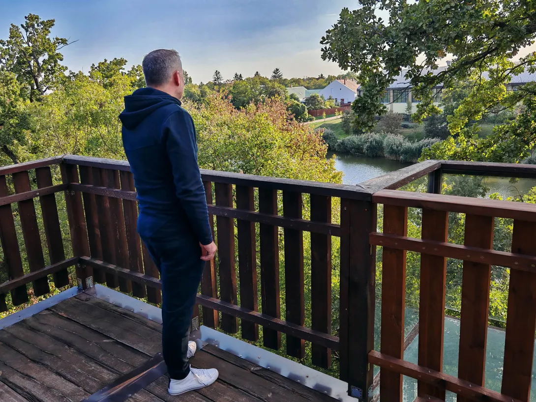 Erzsébet ligeti lombkorona sétány és kilátó