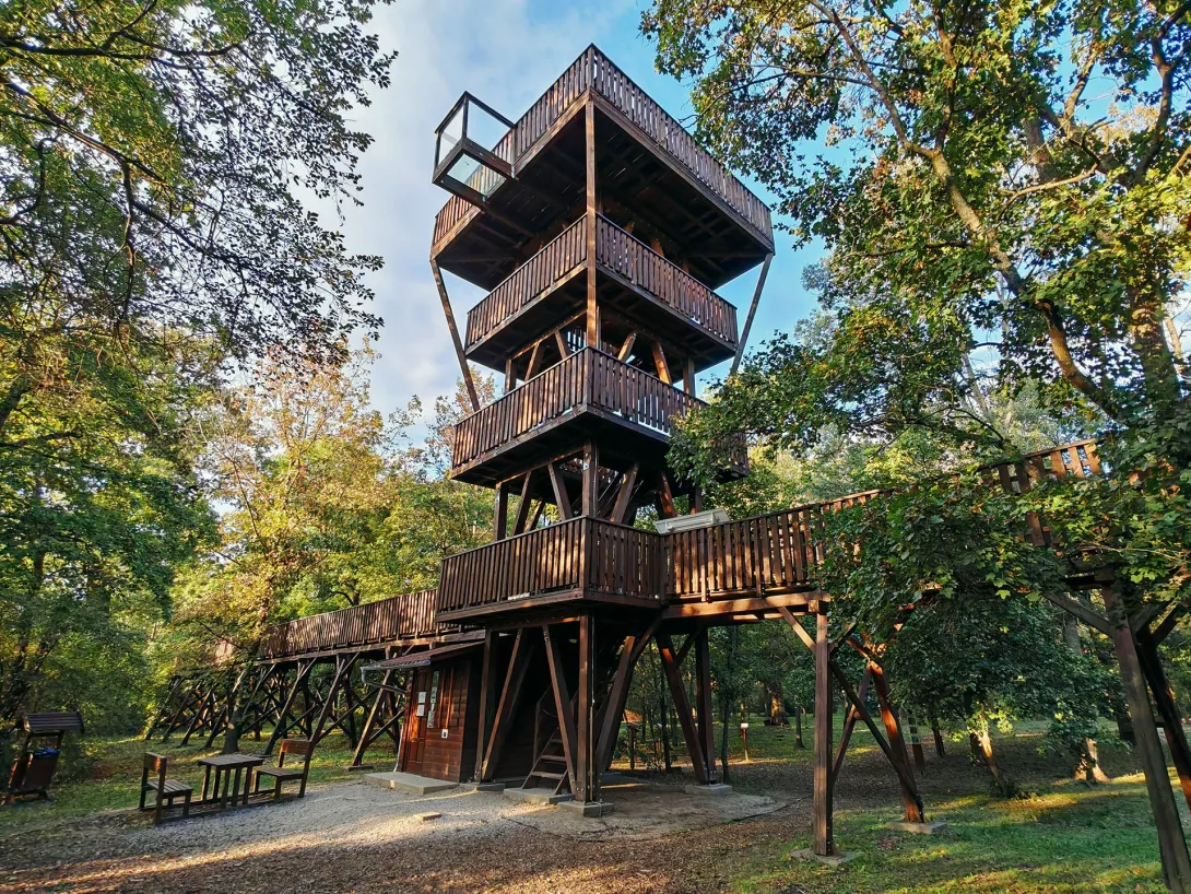 Erzsébet ligeti lombkorona sétány és kilátó